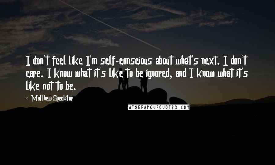 Matthew Specktor Quotes: I don't feel like I'm self-conscious about what's next. I don't care. I know what it's like to be ignored, and I know what it's like not to be.