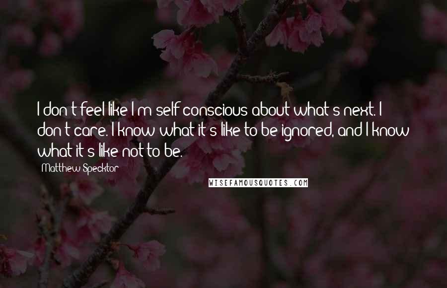 Matthew Specktor Quotes: I don't feel like I'm self-conscious about what's next. I don't care. I know what it's like to be ignored, and I know what it's like not to be.