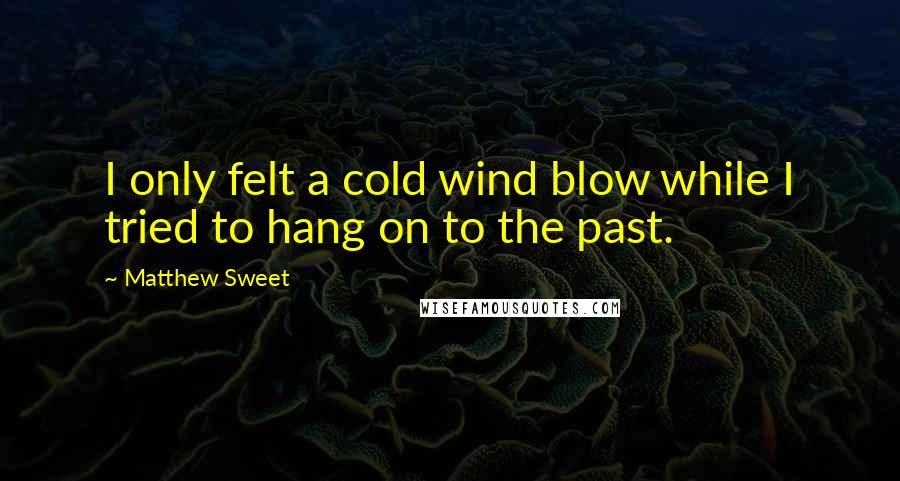 Matthew Sweet Quotes: I only felt a cold wind blow while I tried to hang on to the past.