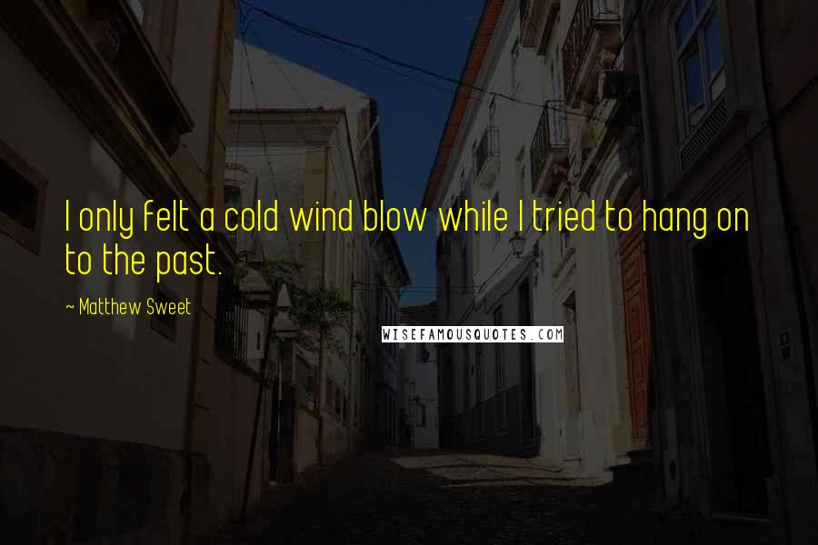 Matthew Sweet Quotes: I only felt a cold wind blow while I tried to hang on to the past.