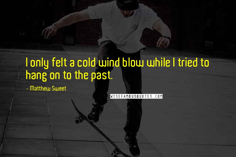 Matthew Sweet Quotes: I only felt a cold wind blow while I tried to hang on to the past.