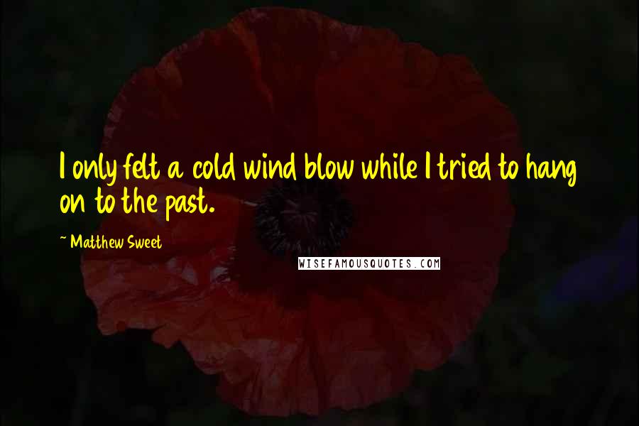 Matthew Sweet Quotes: I only felt a cold wind blow while I tried to hang on to the past.