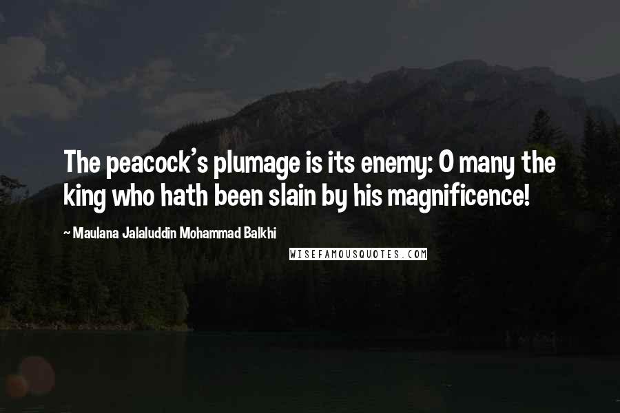 Maulana Jalaluddin Mohammad Balkhi Quotes: The peacock's plumage is its enemy: O many the king who hath been slain by his magnificence!