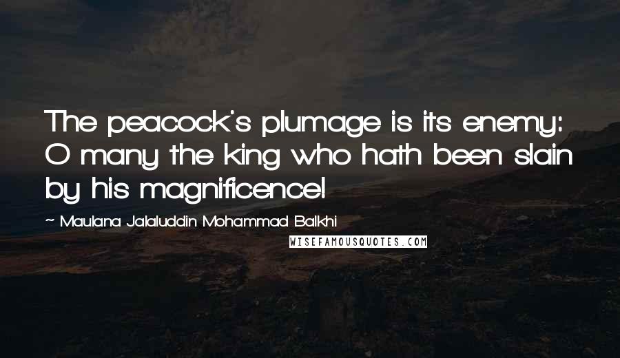 Maulana Jalaluddin Mohammad Balkhi Quotes: The peacock's plumage is its enemy: O many the king who hath been slain by his magnificence!