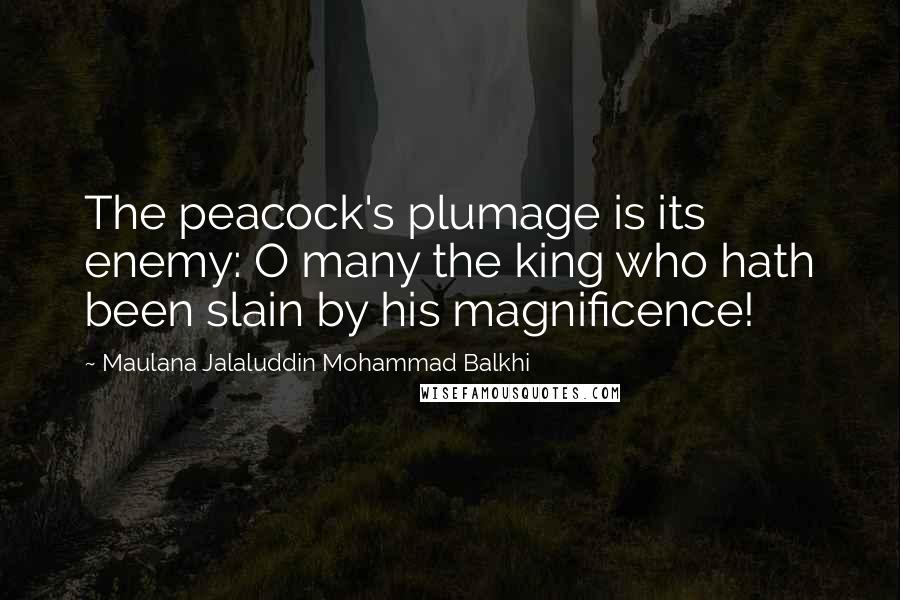 Maulana Jalaluddin Mohammad Balkhi Quotes: The peacock's plumage is its enemy: O many the king who hath been slain by his magnificence!