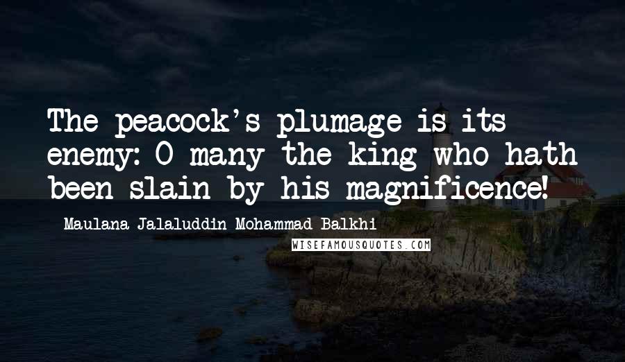 Maulana Jalaluddin Mohammad Balkhi Quotes: The peacock's plumage is its enemy: O many the king who hath been slain by his magnificence!
