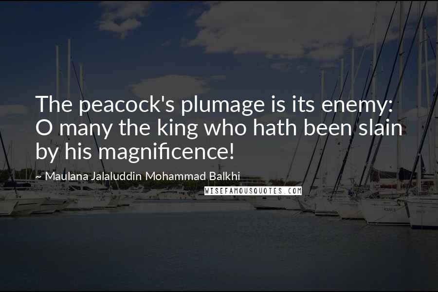 Maulana Jalaluddin Mohammad Balkhi Quotes: The peacock's plumage is its enemy: O many the king who hath been slain by his magnificence!