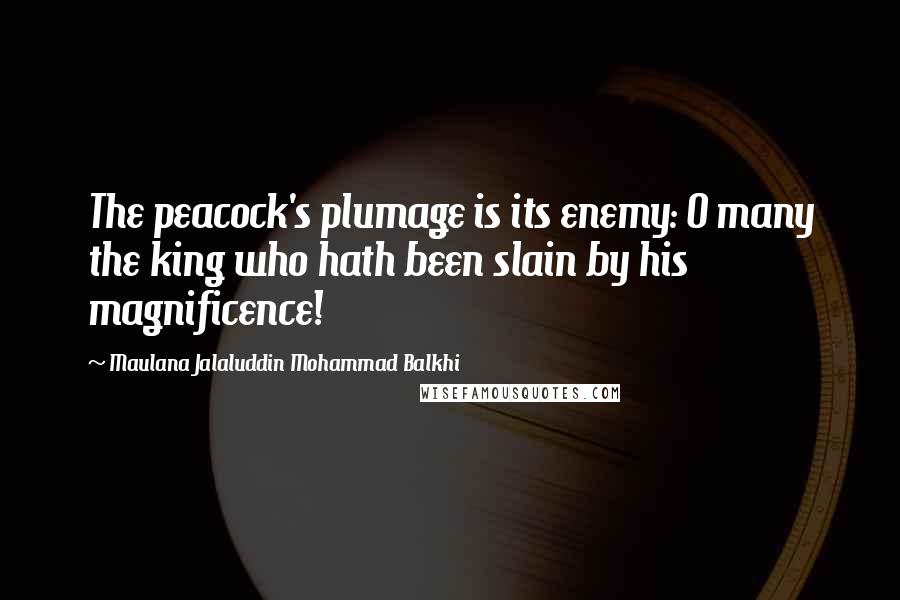 Maulana Jalaluddin Mohammad Balkhi Quotes: The peacock's plumage is its enemy: O many the king who hath been slain by his magnificence!