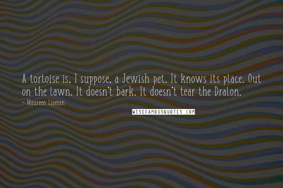 Maureen Lipman Quotes: A tortoise is, I suppose, a Jewish pet. It knows its place. Out on the lawn. It doesn't bark. It doesn't tear the Dralon.