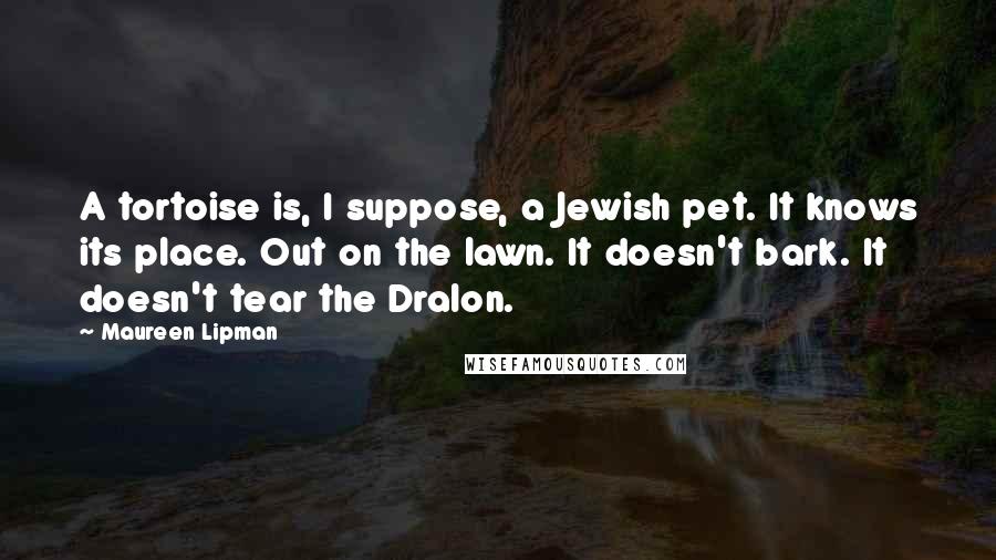 Maureen Lipman Quotes: A tortoise is, I suppose, a Jewish pet. It knows its place. Out on the lawn. It doesn't bark. It doesn't tear the Dralon.