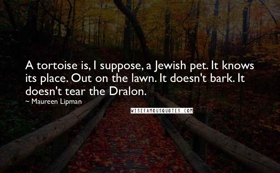 Maureen Lipman Quotes: A tortoise is, I suppose, a Jewish pet. It knows its place. Out on the lawn. It doesn't bark. It doesn't tear the Dralon.