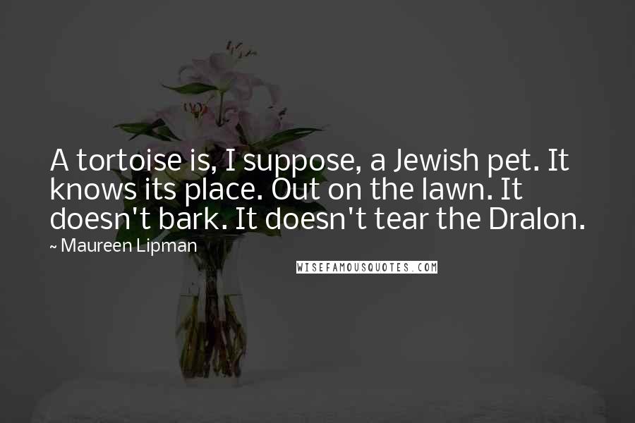 Maureen Lipman Quotes: A tortoise is, I suppose, a Jewish pet. It knows its place. Out on the lawn. It doesn't bark. It doesn't tear the Dralon.
