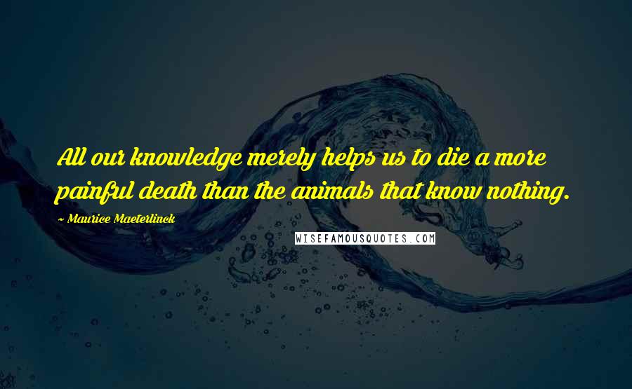 Maurice Maeterlinck Quotes: All our knowledge merely helps us to die a more painful death than the animals that know nothing.