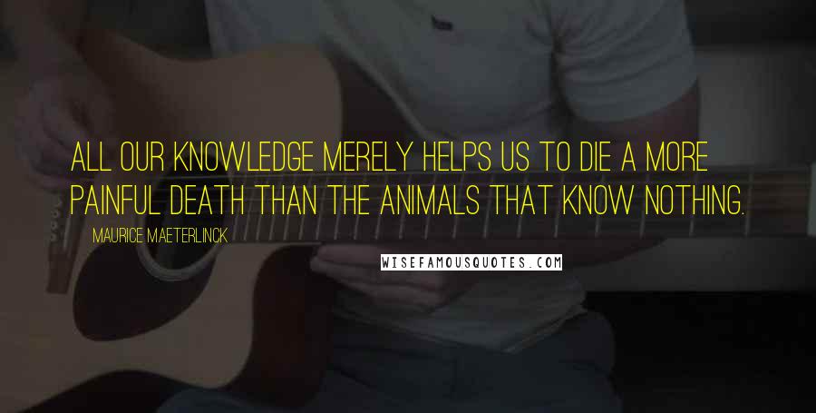 Maurice Maeterlinck Quotes: All our knowledge merely helps us to die a more painful death than the animals that know nothing.