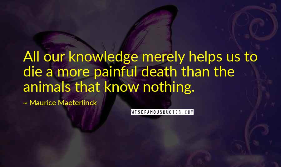 Maurice Maeterlinck Quotes: All our knowledge merely helps us to die a more painful death than the animals that know nothing.