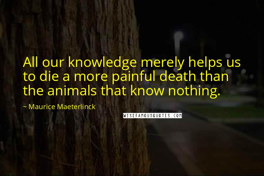 Maurice Maeterlinck Quotes: All our knowledge merely helps us to die a more painful death than the animals that know nothing.