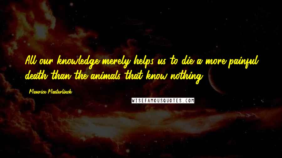 Maurice Maeterlinck Quotes: All our knowledge merely helps us to die a more painful death than the animals that know nothing.