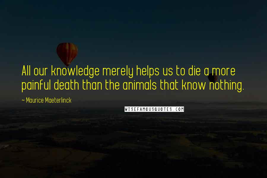 Maurice Maeterlinck Quotes: All our knowledge merely helps us to die a more painful death than the animals that know nothing.