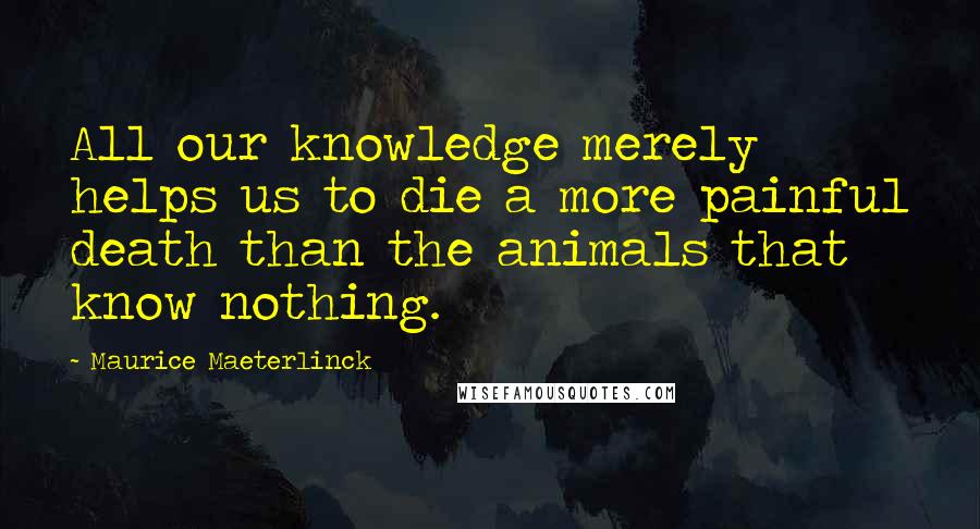 Maurice Maeterlinck Quotes: All our knowledge merely helps us to die a more painful death than the animals that know nothing.