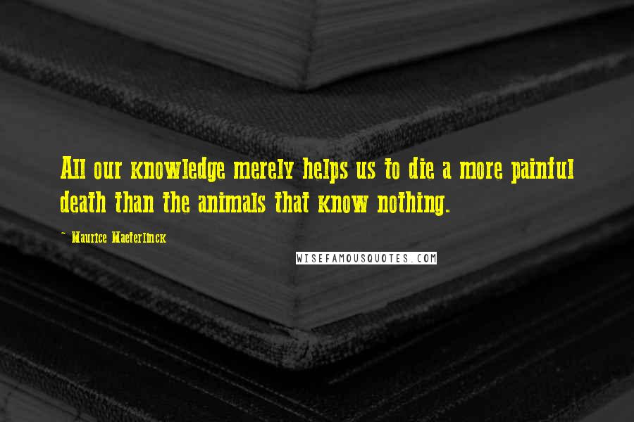 Maurice Maeterlinck Quotes: All our knowledge merely helps us to die a more painful death than the animals that know nothing.