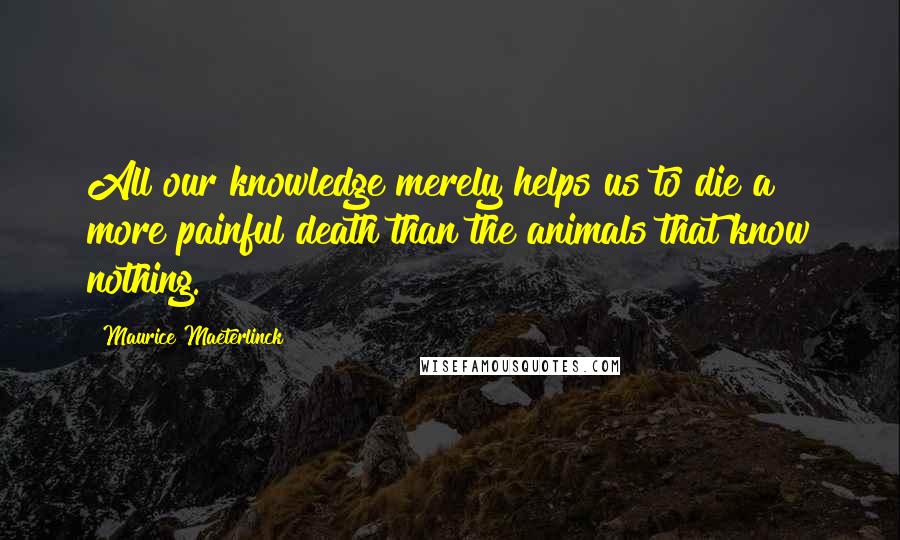 Maurice Maeterlinck Quotes: All our knowledge merely helps us to die a more painful death than the animals that know nothing.