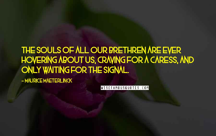 Maurice Maeterlinck Quotes: The souls of all our brethren are ever hovering about us, craving for a caress, and only waiting for the signal.