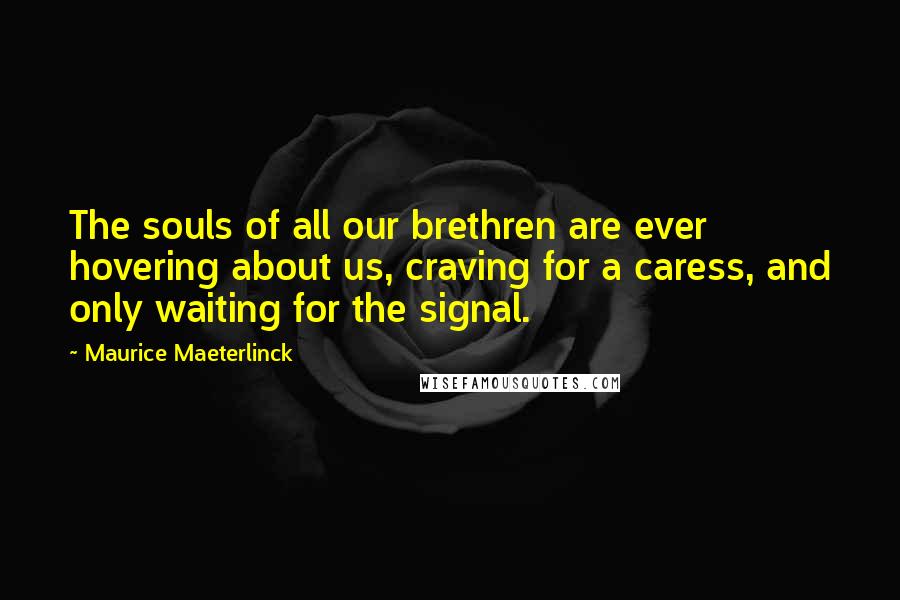 Maurice Maeterlinck Quotes: The souls of all our brethren are ever hovering about us, craving for a caress, and only waiting for the signal.