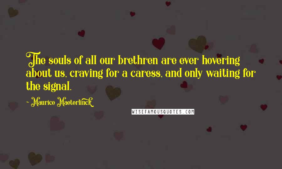 Maurice Maeterlinck Quotes: The souls of all our brethren are ever hovering about us, craving for a caress, and only waiting for the signal.