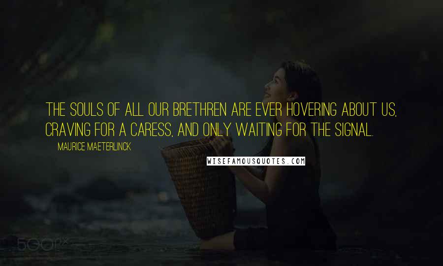 Maurice Maeterlinck Quotes: The souls of all our brethren are ever hovering about us, craving for a caress, and only waiting for the signal.