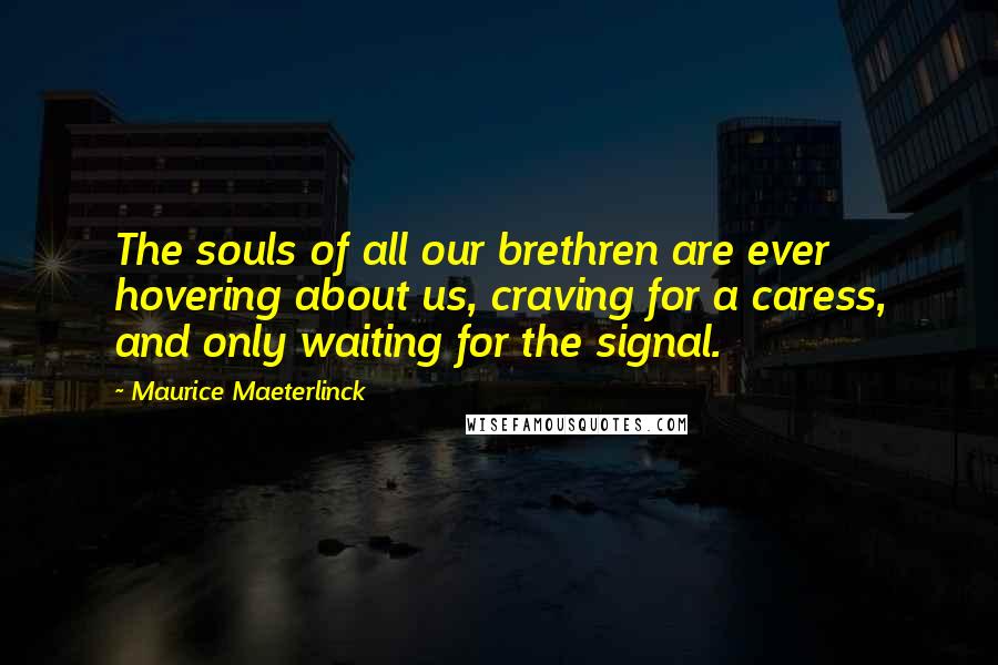 Maurice Maeterlinck Quotes: The souls of all our brethren are ever hovering about us, craving for a caress, and only waiting for the signal.