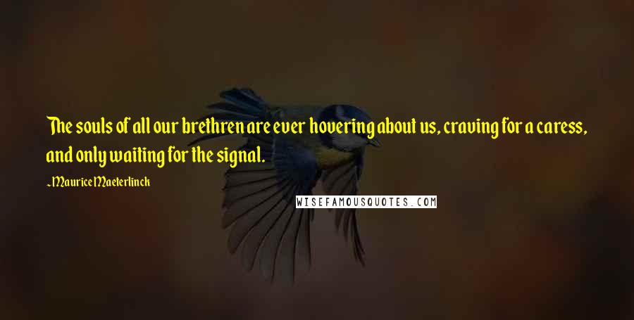 Maurice Maeterlinck Quotes: The souls of all our brethren are ever hovering about us, craving for a caress, and only waiting for the signal.