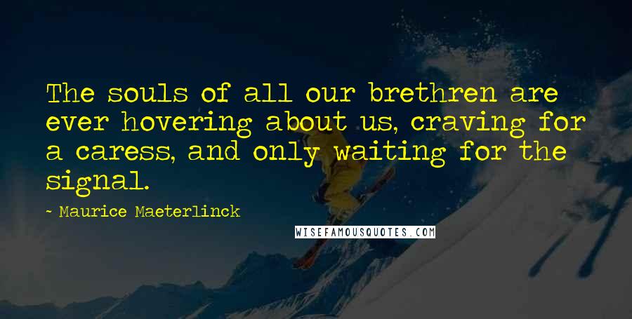 Maurice Maeterlinck Quotes: The souls of all our brethren are ever hovering about us, craving for a caress, and only waiting for the signal.