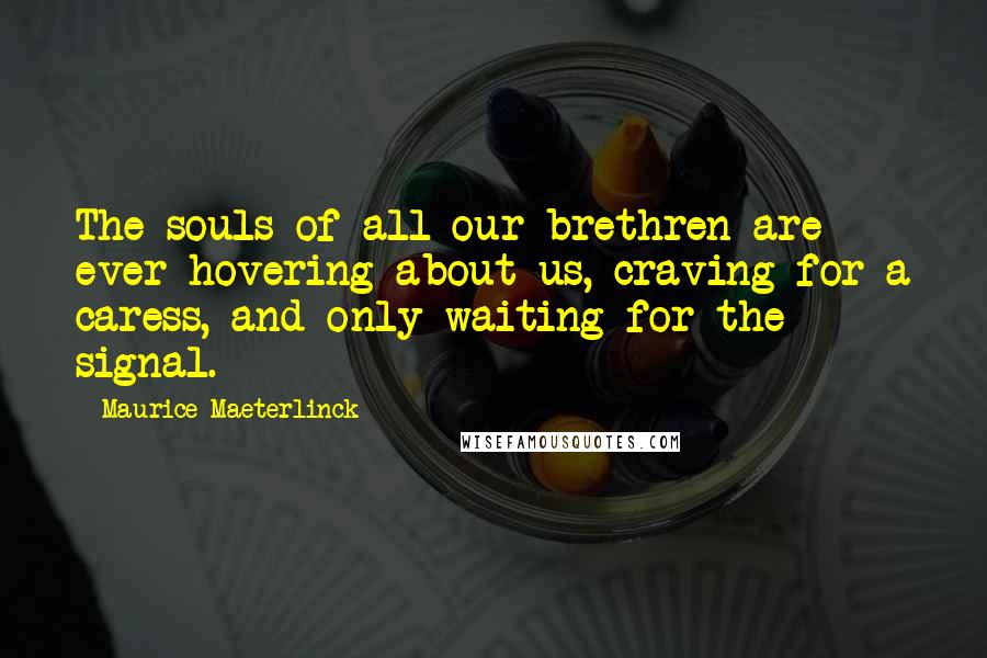 Maurice Maeterlinck Quotes: The souls of all our brethren are ever hovering about us, craving for a caress, and only waiting for the signal.