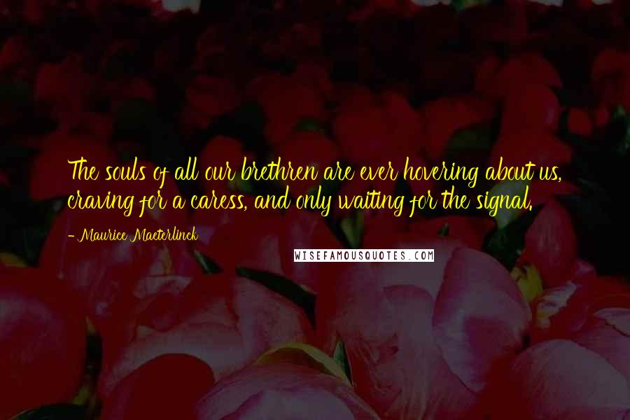 Maurice Maeterlinck Quotes: The souls of all our brethren are ever hovering about us, craving for a caress, and only waiting for the signal.