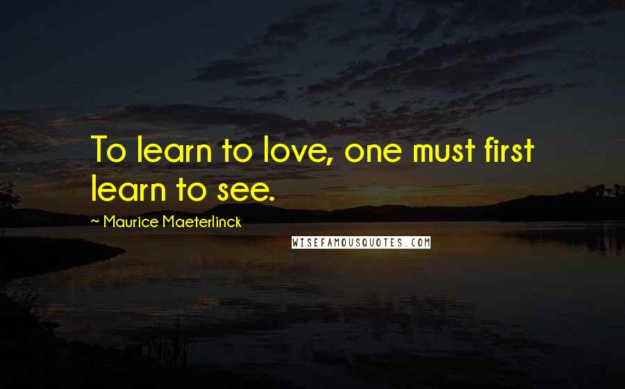 Maurice Maeterlinck Quotes: To learn to love, one must first learn to see.