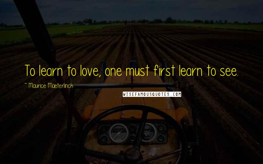 Maurice Maeterlinck Quotes: To learn to love, one must first learn to see.