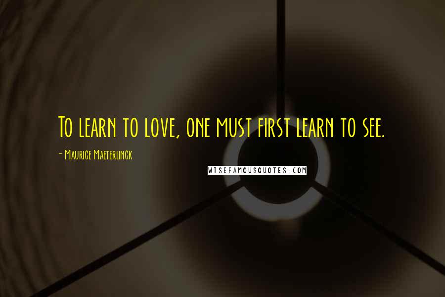 Maurice Maeterlinck Quotes: To learn to love, one must first learn to see.