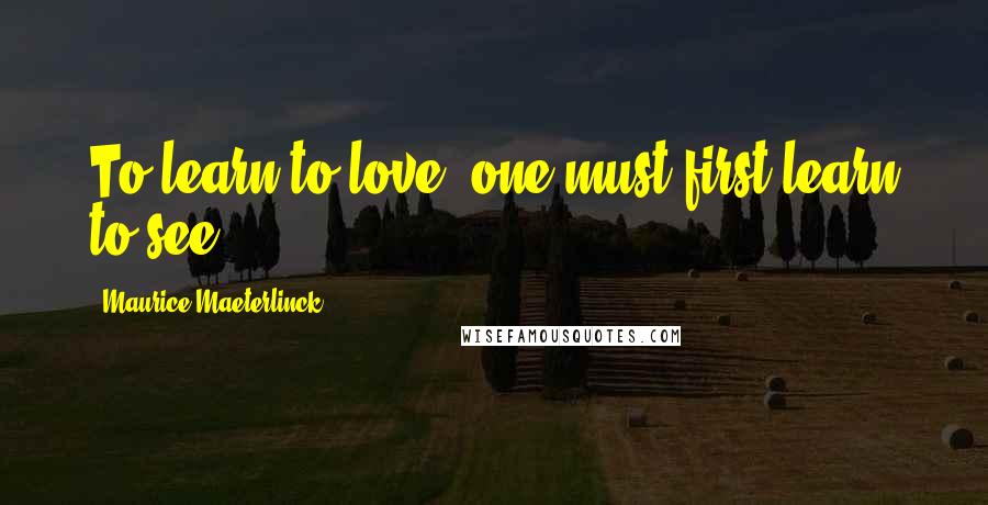 Maurice Maeterlinck Quotes: To learn to love, one must first learn to see.