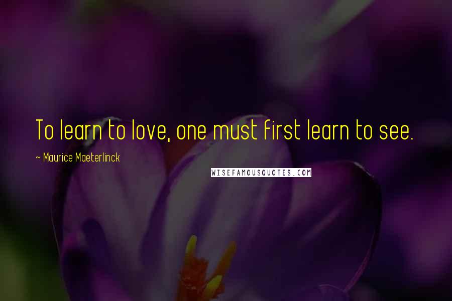 Maurice Maeterlinck Quotes: To learn to love, one must first learn to see.