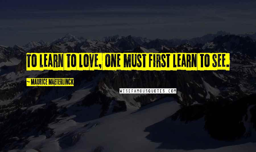 Maurice Maeterlinck Quotes: To learn to love, one must first learn to see.