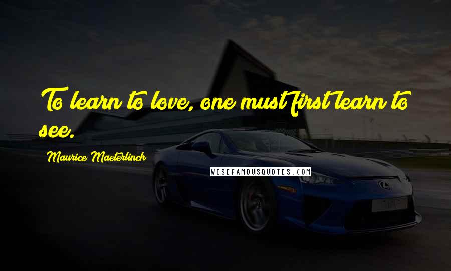 Maurice Maeterlinck Quotes: To learn to love, one must first learn to see.