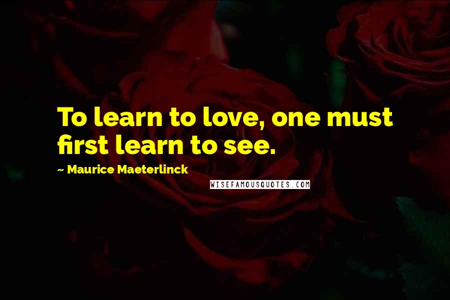 Maurice Maeterlinck Quotes: To learn to love, one must first learn to see.