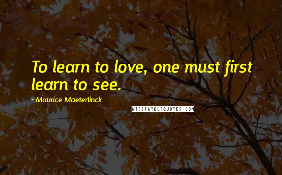 Maurice Maeterlinck Quotes: To learn to love, one must first learn to see.