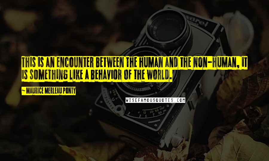 Maurice Merleau Ponty Quotes: This is an encounter between the human and the non-human, it is something like a behavior of the world.