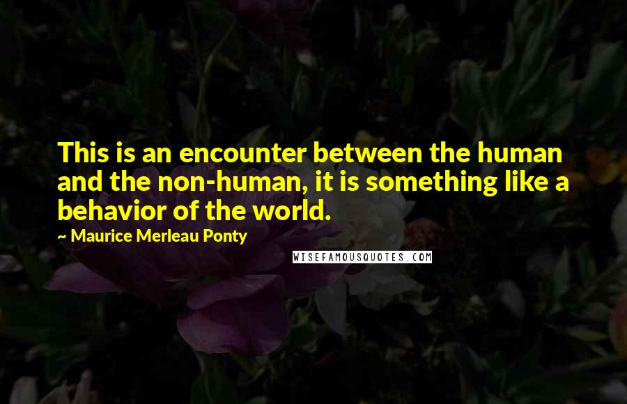 Maurice Merleau Ponty Quotes: This is an encounter between the human and the non-human, it is something like a behavior of the world.