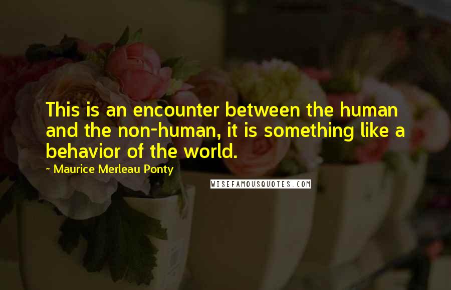Maurice Merleau Ponty Quotes: This is an encounter between the human and the non-human, it is something like a behavior of the world.