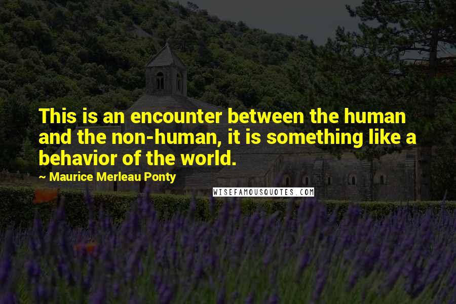 Maurice Merleau Ponty Quotes: This is an encounter between the human and the non-human, it is something like a behavior of the world.