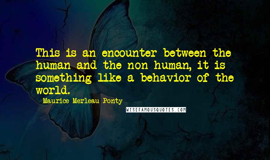 Maurice Merleau Ponty Quotes: This is an encounter between the human and the non-human, it is something like a behavior of the world.