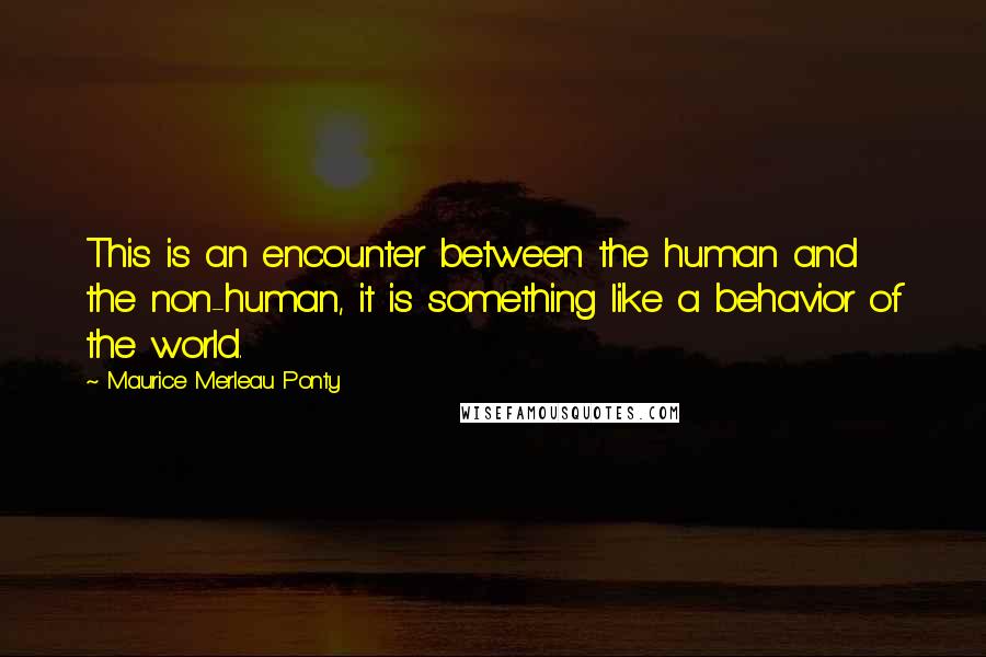 Maurice Merleau Ponty Quotes: This is an encounter between the human and the non-human, it is something like a behavior of the world.