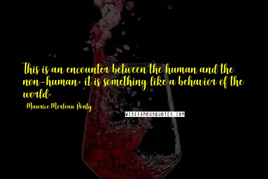 Maurice Merleau Ponty Quotes: This is an encounter between the human and the non-human, it is something like a behavior of the world.